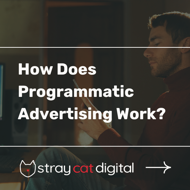 straycatdigital's tweet photo. How does programmatic advertising work?
A 7-step process that delivers targeted results across digital and streaming platforms. See how it works 👇
https://t.co/NAMrNont1y

#ProgrammaticAds #DigitalMarketing https://t.co/tTLtp0L18h