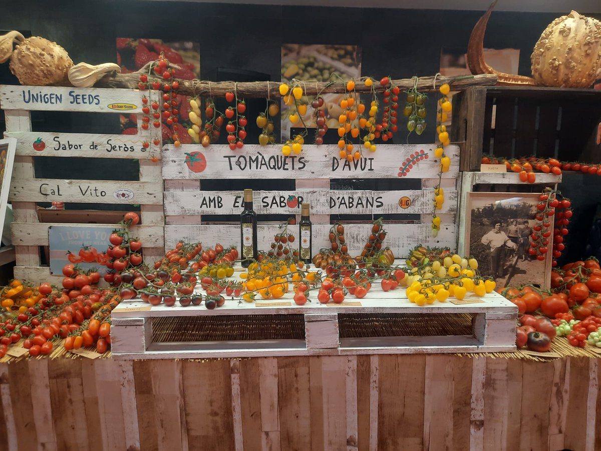 DOP Siurana (@dop_siurana) on Twitter photo 🍅 Quantes varietats de tomàquet hi ha? Avui als <a href="/MercatsTGN/">Mercats de Tarragona</a> n'han presentat fins a seixanta tots ells ben maridats amb oli d'oliva verge extra DOP Siurana.
😋 Per llepar-se'n els dits!
Amb el suport 👇
Costa Daurada
Generalitat de Catalunya
#LOOVEesAmor #DOPSiurana 🍅 Quantes varietats de tomàquet hi ha? Avui als <a href="/MercatsTGN/">Mercats de Tarragona</a> n'han presentat fins a seixanta tots ells ben maridats amb oli d'oliva verge extra DOP Siurana.
😋 Per llepar-se'n els dits!
Amb el suport 👇
Costa Daurada
Generalitat de Catalunya
#LOOVEesAmor #DOPSiurana