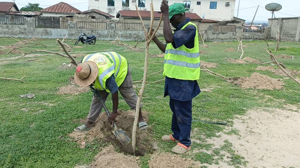 taharacollectiv's tweet photo. Alhamdulillah, with your generous support, we raised ₦2 million for the Sadaqah Jariyah Tree Planting Project, and the trees have now been planted — at mosques, cemeteries, schools, and hospitals, through our partners at the Islamic Education Trust (IET). https://t.co/aEeujiIBHr