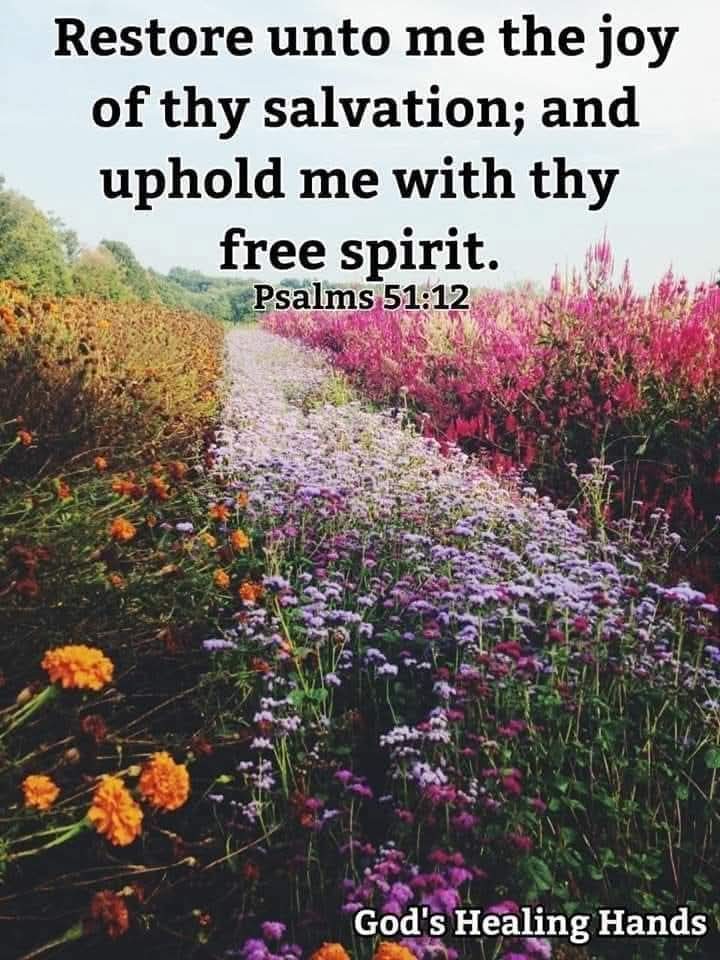 Stewart7Donna's tweet image. Have mercy upon me, O God, according to thy lovingkindness: according to the multitude of thy tender mercies blot out my transgressions. Ps51:1