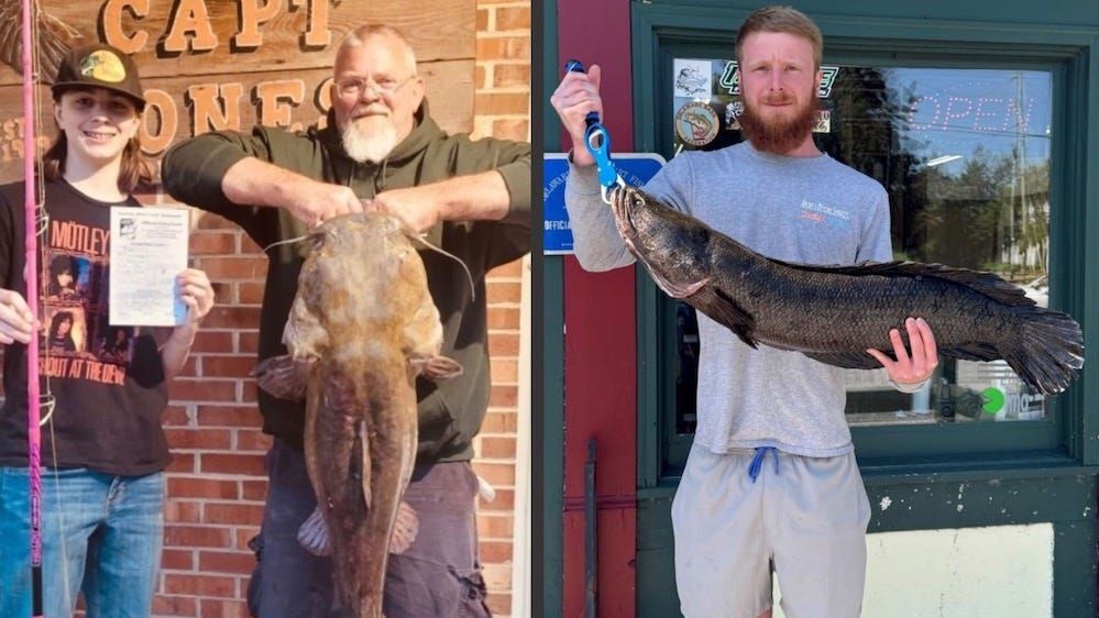 ForTheWin's tweet image. Two record fish landed by fishermen are species officials say to kill ftw.usatoday.com/story/sports/o…