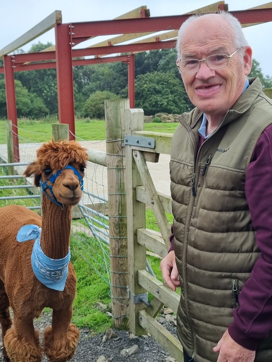 WesternHSCTrust's tweet image. Evergreen Day Centre are enjoying their Summer fun with a trip to the North Coast Alpaca Farm along with a picnic! ☀️
