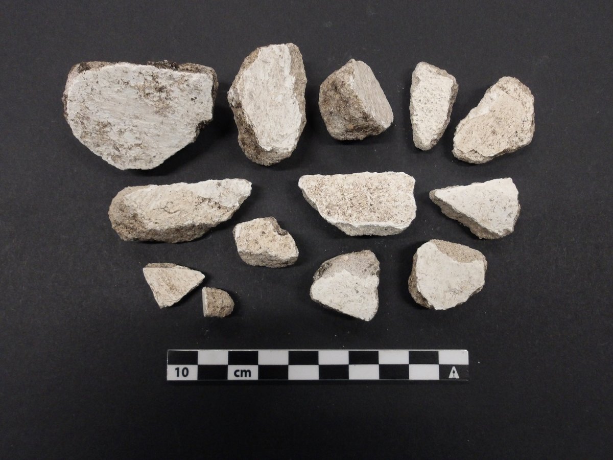 OfficialAlamo's tweet image. Alamo Church archaeology update!
The presence of mortar and plaster, mule shoes, nails/hardware, brick, and European earthenware ceramic in EU-31 indicates the deposit post-dates the mission period.
Several Valero Red Painted sherds in situ were found. bit.ly/44Mqk8E