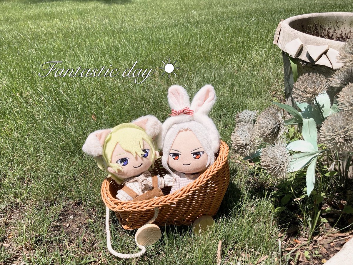na__nya7's tweet image. ⋆₊ ☀︎ ⋆⁺ Happy Birthday⋆₊  ꫂ ၴႅၴ ⋆⁺
               2025.7.24