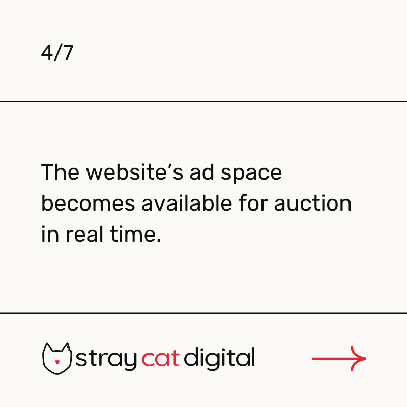 straycatdigital's tweet photo. https://t.co/Ig6avsIJta