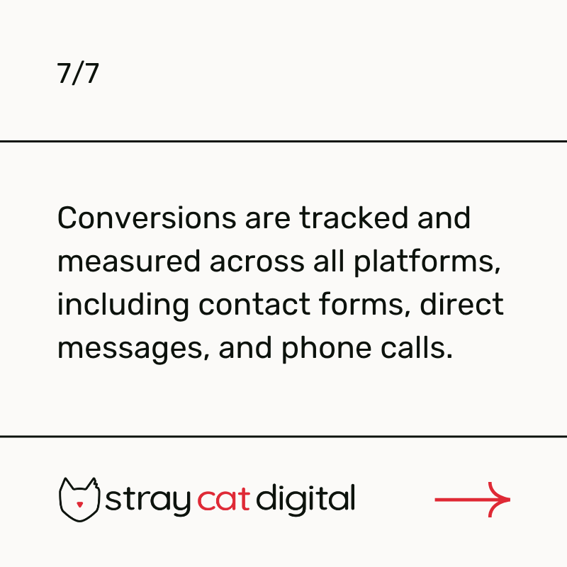 straycatdigital's tweet photo. https://t.co/Ig6avsIJta