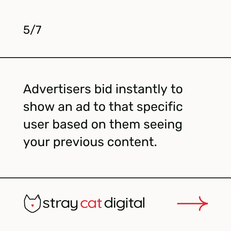 straycatdigital's tweet photo. https://t.co/Ig6avsIJta