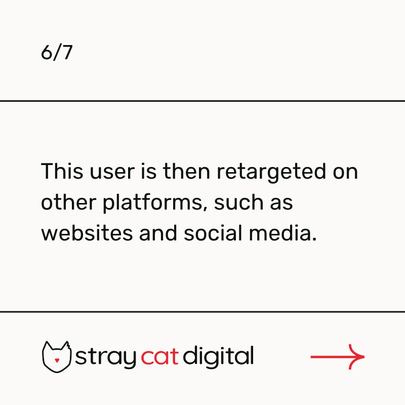 straycatdigital's tweet photo. https://t.co/Ig6avsIJta