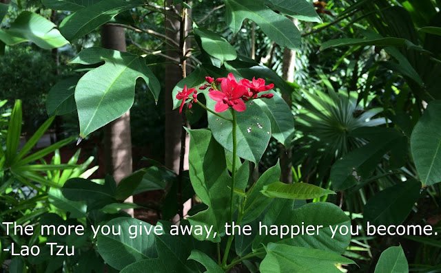 ElizaWallace27's tweet image. Road to Free College: The Key to Happiness, roadtofreecollege.com/2016/12/the-ke… #Parents #FreeCollege