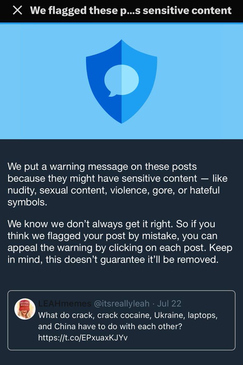 itsreallyleah's tweet image. X didn’t like this blurred image of Hunter Biden’s buttocks in my latest video, so they put a content warning on it.
Yet every time I’ve watched it, the next video is always porn - which I guess proves the algorithm works. It seems to match Hunter content with pornos. Go figure.