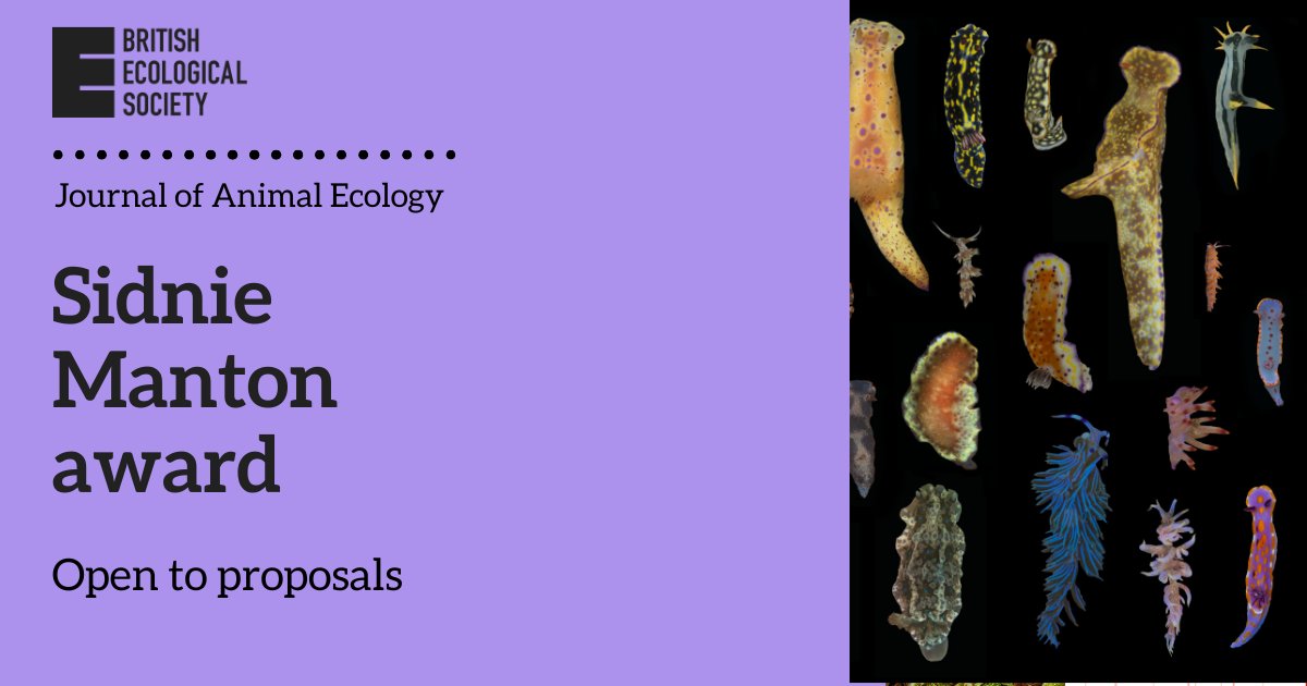 WileyEcolEvol's tweet image. Calling early career ecologists!
Submit your proposal for a Review or Long-term Studies in Animal Ecology by 1 Sept 2025 to be considered for the Sidnie Manton Award, awarded annually by the British Ecological Society.
Find out more:
ow.ly/wVPT50WjQXX
