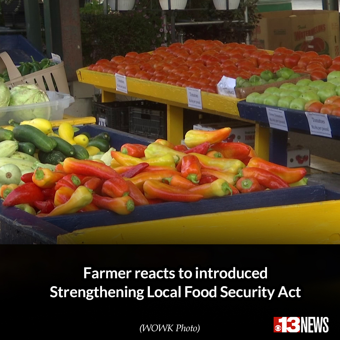 WOWK13News's tweet image. A West Virginia farmer says he thinks the proposed Strengthening Local Food Security Act could help bring some financial security to farmers already working to help those who need it the most.
wowktv.com/news/west-virg…