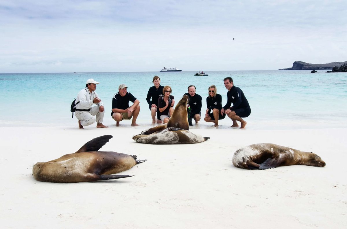 Fayetteville NewsBeat (@faynewsbeat) on Twitter photo Unlock the magic of the Galapagos 🌿🐢 Save 20% on select cruises plus free airfare! Whether it's a 10, 11, or 16-night adventure, your dream vacation awaits. Book now and dive into paradise! DM or email info@sandhillstravel.com. #BookCelebrityCruises #Galapagos Unlock the magic of the Galapagos 🌿🐢 Save 20% on select cruises plus free airfare! Whether it's a 10, 11, or 16-night adventure, your dream vacation awaits. Book now and dive into paradise! DM or email info@sandhillstravel.com. #BookCelebrityCruises #Galapagos
