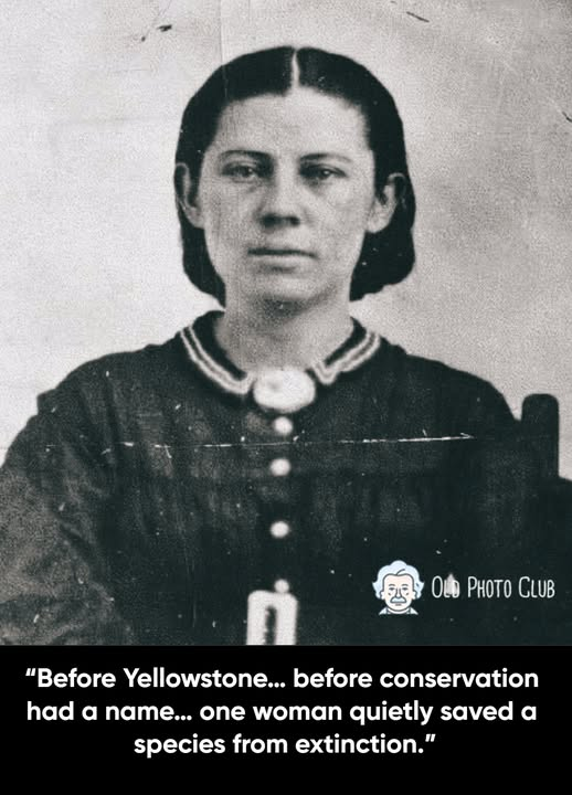 In the rugged Texas Panhandle of the 1800s, Mary Ann “Molly” Goodnight lived a life that defied every frontier cliché.

She wasn’t a gunslinger. She didn’t ride in posses or chase outlaws.

But she changed the West forever—armed only with resilience, compassion, and an iron will.