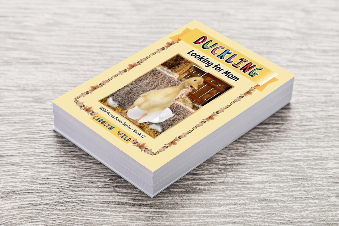 quotesrainsite's tweet image. Teaching children to read is important, and “Duckling: Looking for Mom” does it with charm! Explore sight words, science facts, and more with this sweet story. #KidsBooks #LearningMadeFun @WildAcresBooks Buy Now --> allauthor.com/amazon/92557/