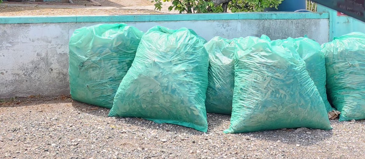 coribj's tweet photo. I have a question? @NSWMA1876; what is happening with garbage pick up in the Kingston 20 area?? 3 weeks and counting, help!!! https://t.co/yI0D9DAM5V