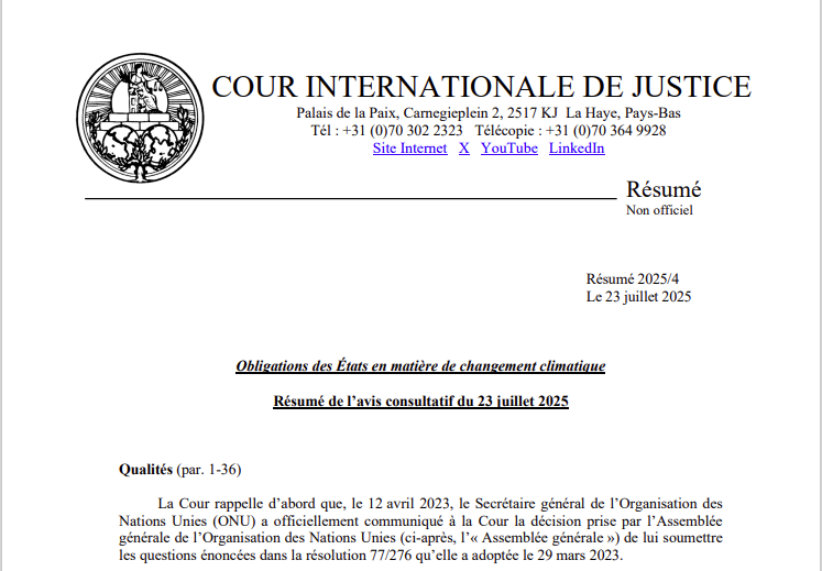 LIRE ICI : le résumé de l’avis consultatif de la #CIJ sur les Obligations des États en matière de changement climatique.

go.icj-cij.org/45pttKH