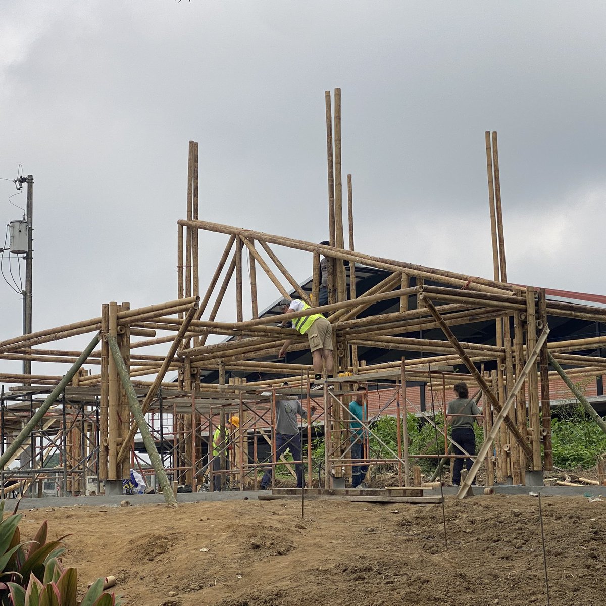 🙌¡Ya falta poco! 👷👷‍♀️
El #PabellónDeBambú 🎍 (12x12 m) avanza con fuerza: hoy se colocó las cerchas que sostendrán la cubierta de teja. Pronto será un espacio de encuentro, descanso y conexión con la naturaleza 🌳 en el #Bambúsario de la sede.

Este sueño se construye gracias
