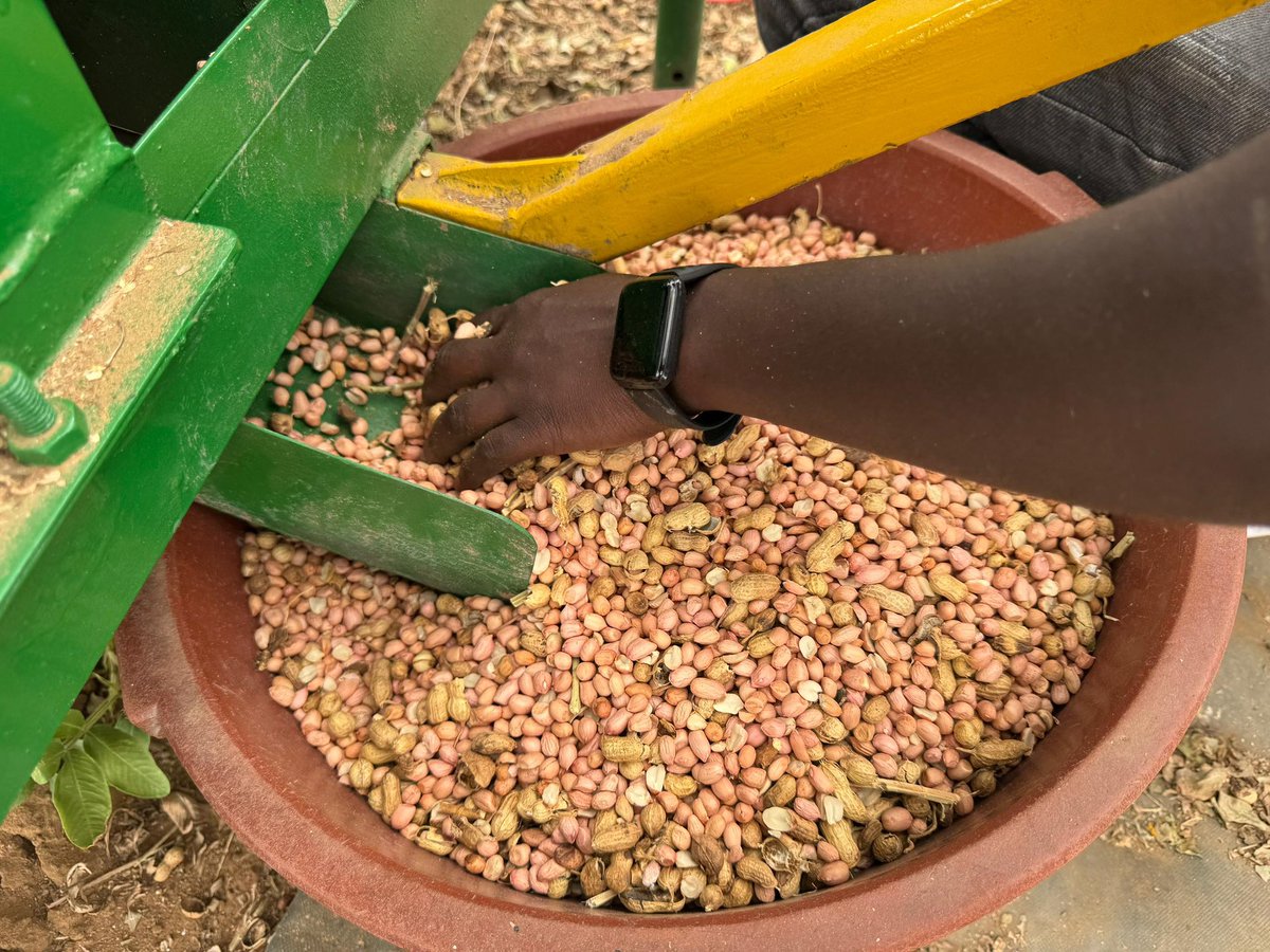 UNUINRA's tweet image. A major sector that requires the implementation of green solutions is the agricultural sector.
By combining clean energy powered agritech with innovative #agric practices,Africa’s agric sector will be more sustainable while promoting green jobs.
#INFoCAT #innovation #gogreen