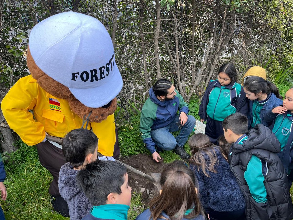 conaf_ohiggins's tweet image. Junto a Forestín realizamos una charla de educación ambiental para sexto básico del Colegio Angostura de la comuna de San Fernando y junto a las y los más pequeñitos, participamos en una plantación simbólica, reforzando nuestro mensaje de #PREVENCIÓN de #IncendiosForestales