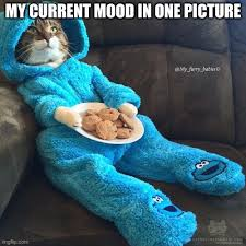 marillion13's tweet photo. In spite of an almost exploding gmail inbox I checked the important newsletters &amp; posted updates. Now I´ll go offline for a bit more TV, before I´ll have to go asleep very early again, #FatigueSucks. 
#Goodnight already.
💖💖💖
https://t.co/MPZc7qTk7u https://t.co/SsPYjhkE4W