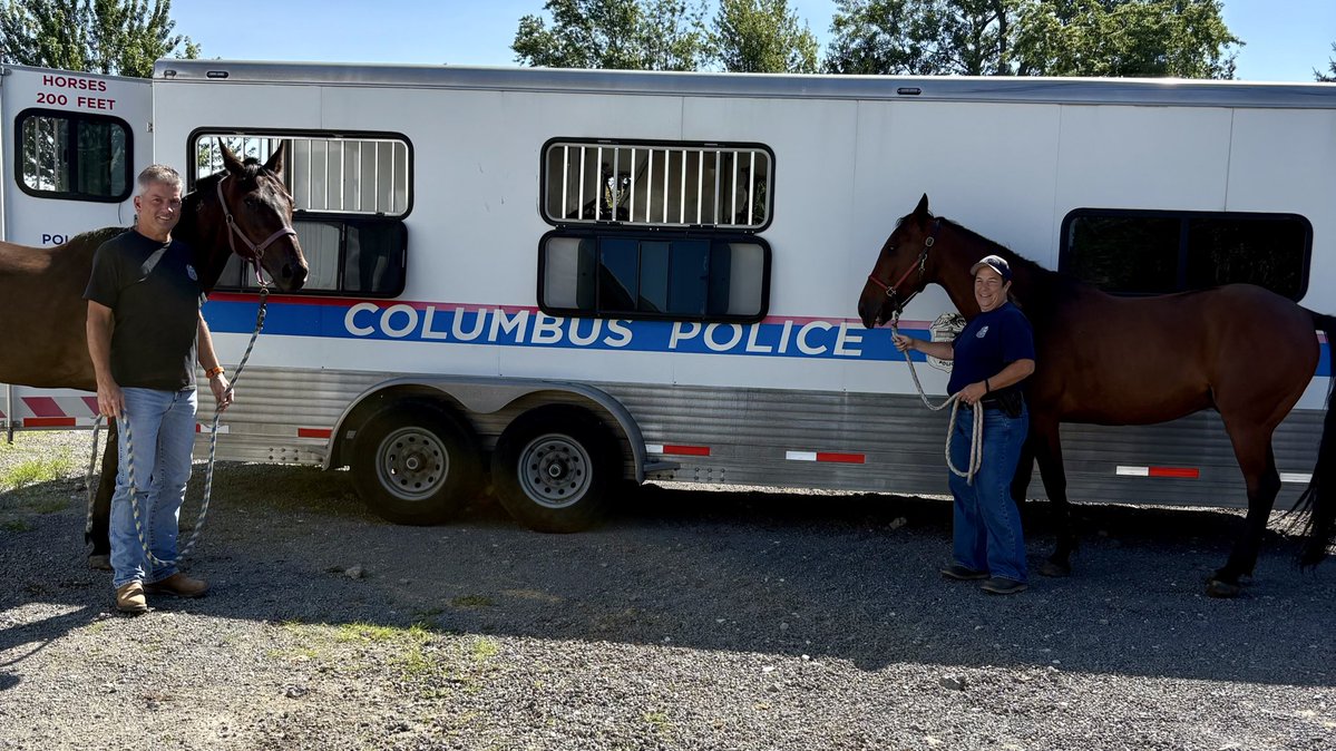 NewVocations's tweet image. The Columbus Mounted Unit picked up their two newly adopted #Standardbreds, QUALITY CLOSER and PL JERICO. @StbTransition #RehabRetrainRehome