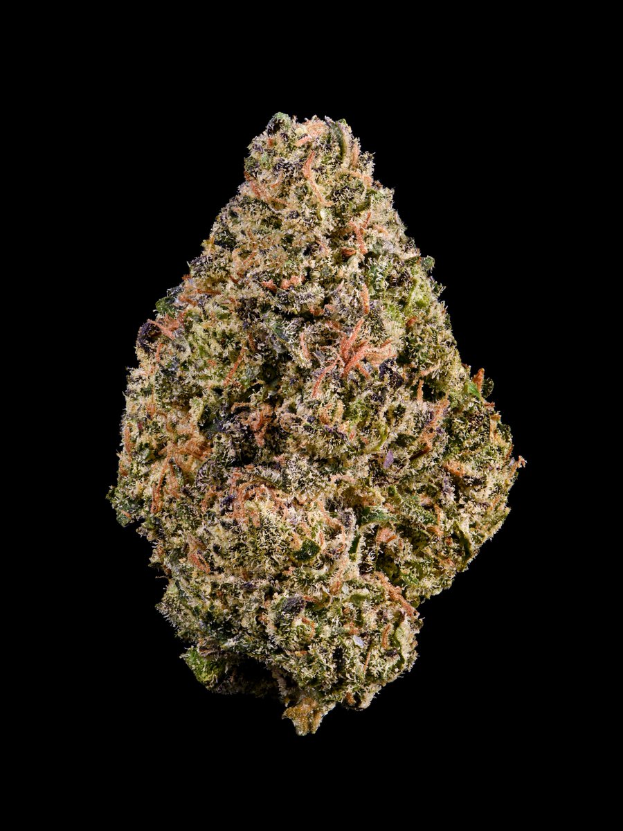 cookiesglobal's tweet image. { Blueberry Caviar } premium small-batch 💪🏽 Bred by @ridgelinefarms and grown at @cookiesonelog ...
Limited stock in CA: cookies.co/stores