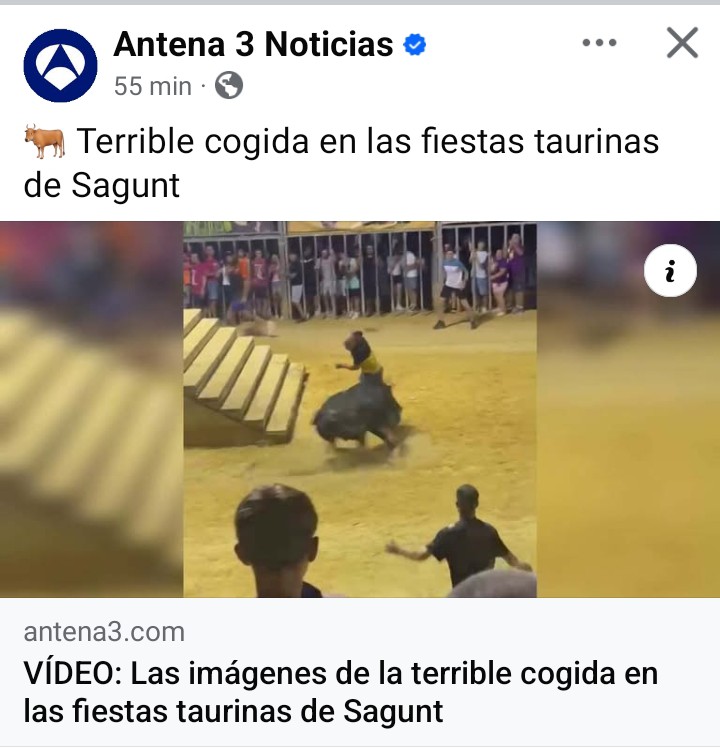 Terrible es el sufrimiento de la vaquilla.
Terrible es que haya humanos que disfruten con él.
Terrible es que todavía se permitan espectáculos así.
Las cogidas sólo son los daños colaterales de tanto derroche de crueldad, estupidez y atraso.
