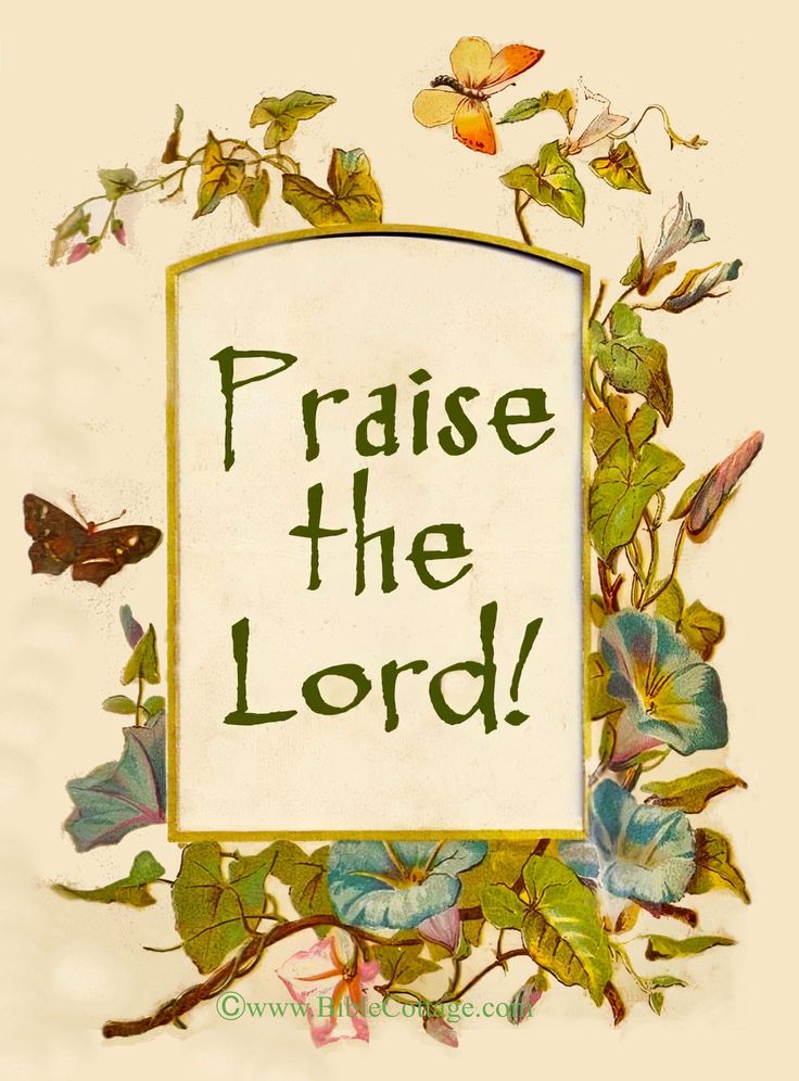lagracelaverite's tweet image. “Let everything that has breath praise the Lord. Praise the Lord!”
✤ Psalm 150:6