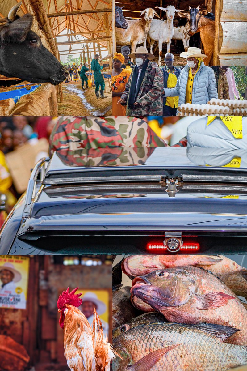 BonnyKarogo's tweet image. Some of the images I captured during Sevo's PDM tour in Wakiso and Kampala.