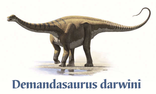 FDinosaurios's tweet image. Un vino de Ribera en honor a los #dinosaurios
(vía @burgosconecta)
@FDinosaurios y Bodegas Astil (@DORibera) lanzan una línea de vinos dedicada a Demandasaurus, con el objetivo de promocionar el patrimonio paleontológico de la Sierra de la Demanda.
n9.cl/78l9x
