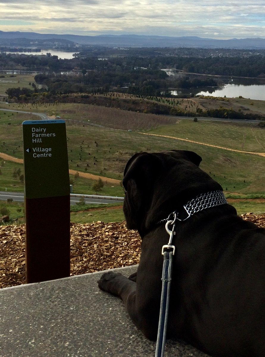 whaler_michael's tweet image. Boston -&quot;King of the Mountain&quot;