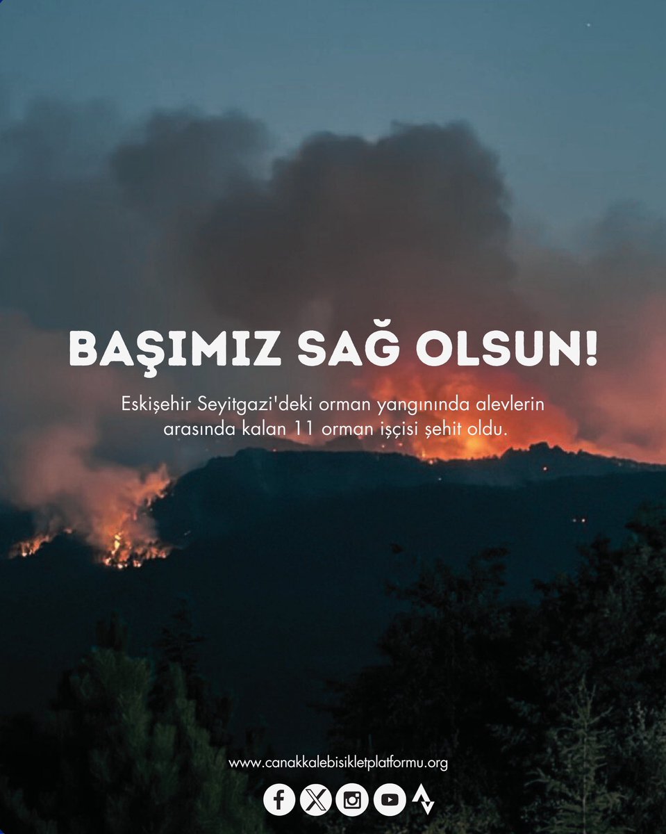 Başımız sağ olsun! 

#OrmanVatandır