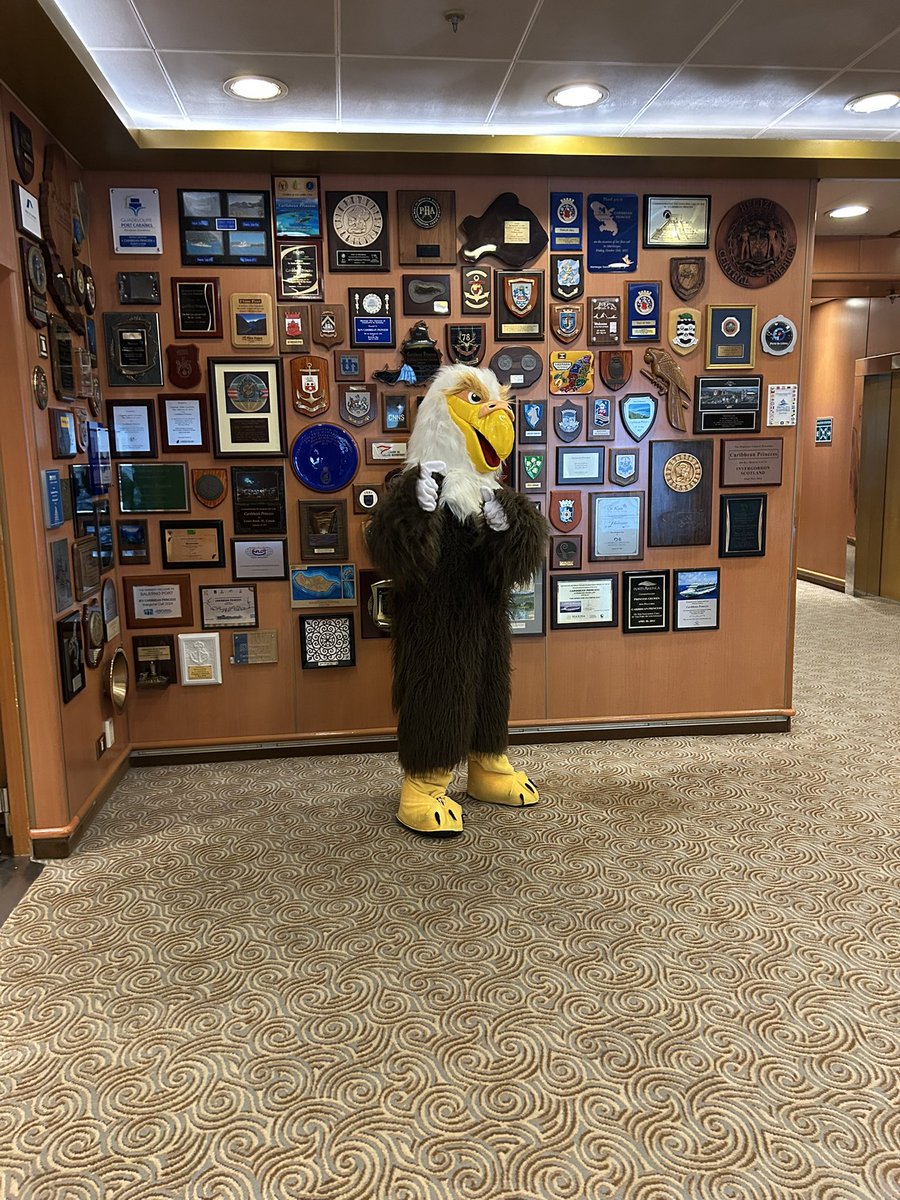 petebvt's tweet image. Go birds