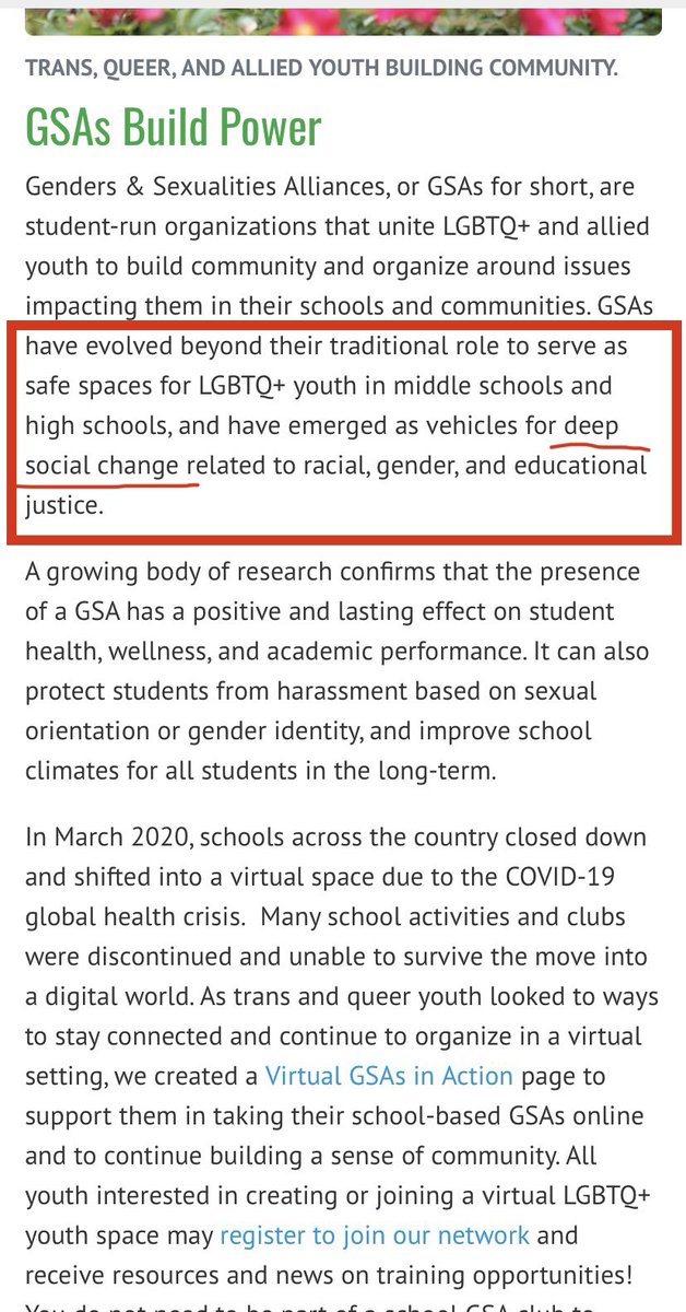 “Queer” is a Marxist term that means anything “non-normative”.  One doesn’t have to be gay to be “queer”.  Interestingly, if you look into the GSA (Gender Sexuality Alliance), which is prominent in our schools, you see that the mission is now for “deep societal change”.
