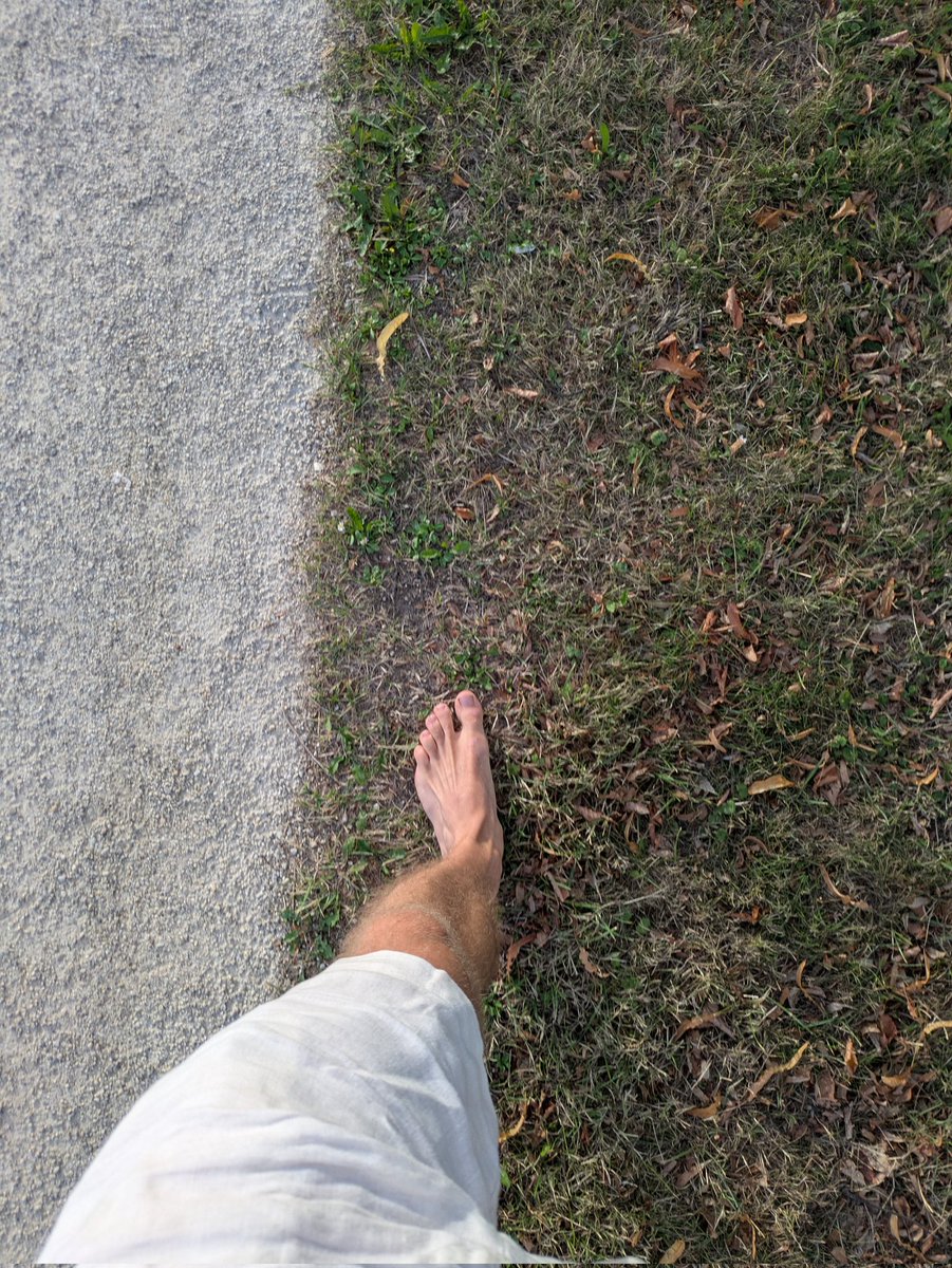 FertilityMaxx's tweet image. Be a contrarian. Take off your shoes.