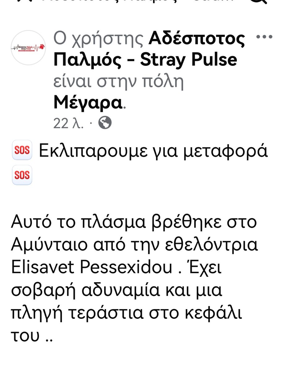 Christinalirou2's tweet image. Αμύνταιο ‼️🆘‼️🆘‼️🆘‼️🆘. Οι εθελοντές κάνουν έκκληση για μεταφορά σκυλου στην κλινική στα Μέγαρα για να χειρουργηθει. Δεν μπορούν να βρουν πετ ταξί. Υπάρχει άνθρωπος να βοηθήσει???? ΕΠΕΙΓΕΙ ‼️🆘‼️🆘‼️🆘‼️🆘‼️
