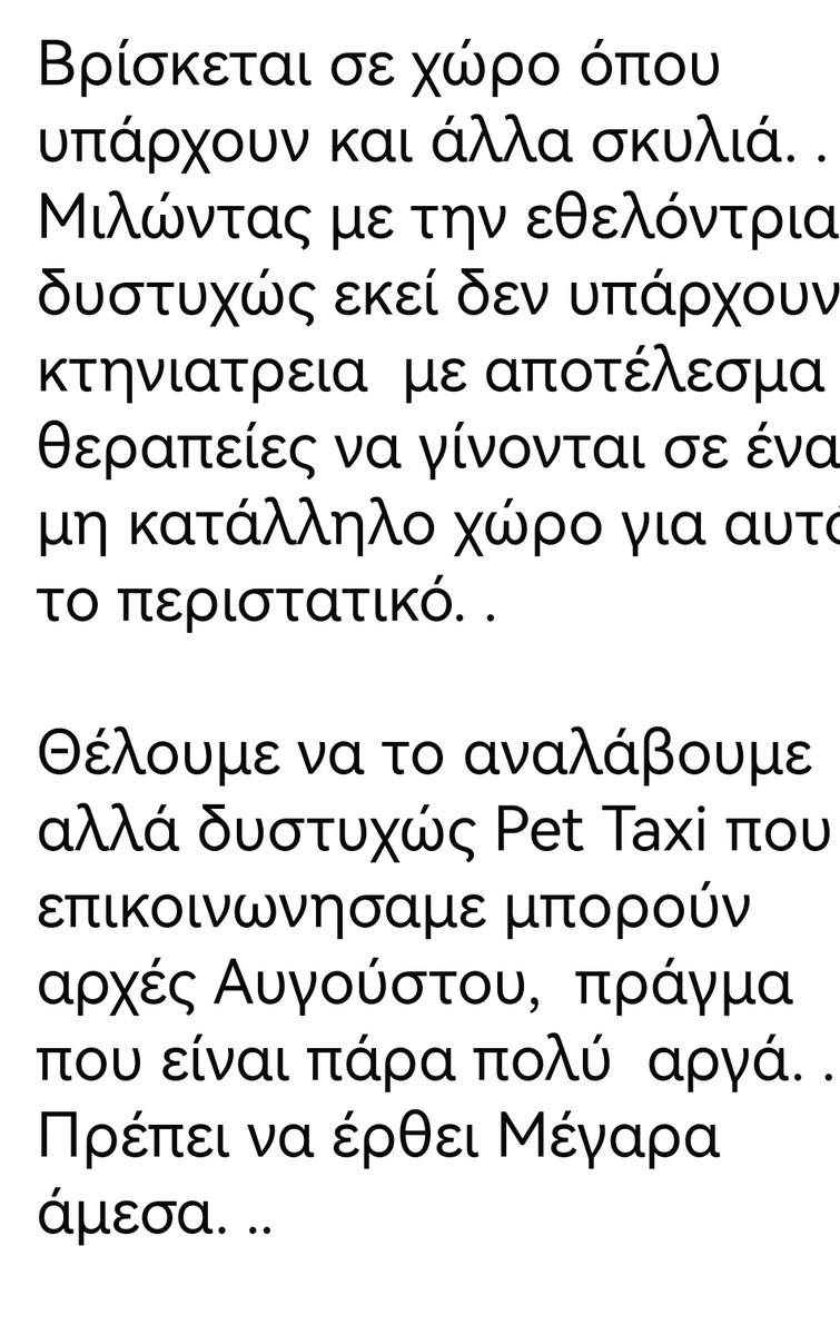 Christinalirou2's tweet image. Αμύνταιο ‼️🆘‼️🆘‼️🆘‼️🆘. Οι εθελοντές κάνουν έκκληση για μεταφορά σκυλου στην κλινική στα Μέγαρα για να χειρουργηθει. Δεν μπορούν να βρουν πετ ταξί. Υπάρχει άνθρωπος να βοηθήσει???? ΕΠΕΙΓΕΙ ‼️🆘‼️🆘‼️🆘‼️🆘‼️