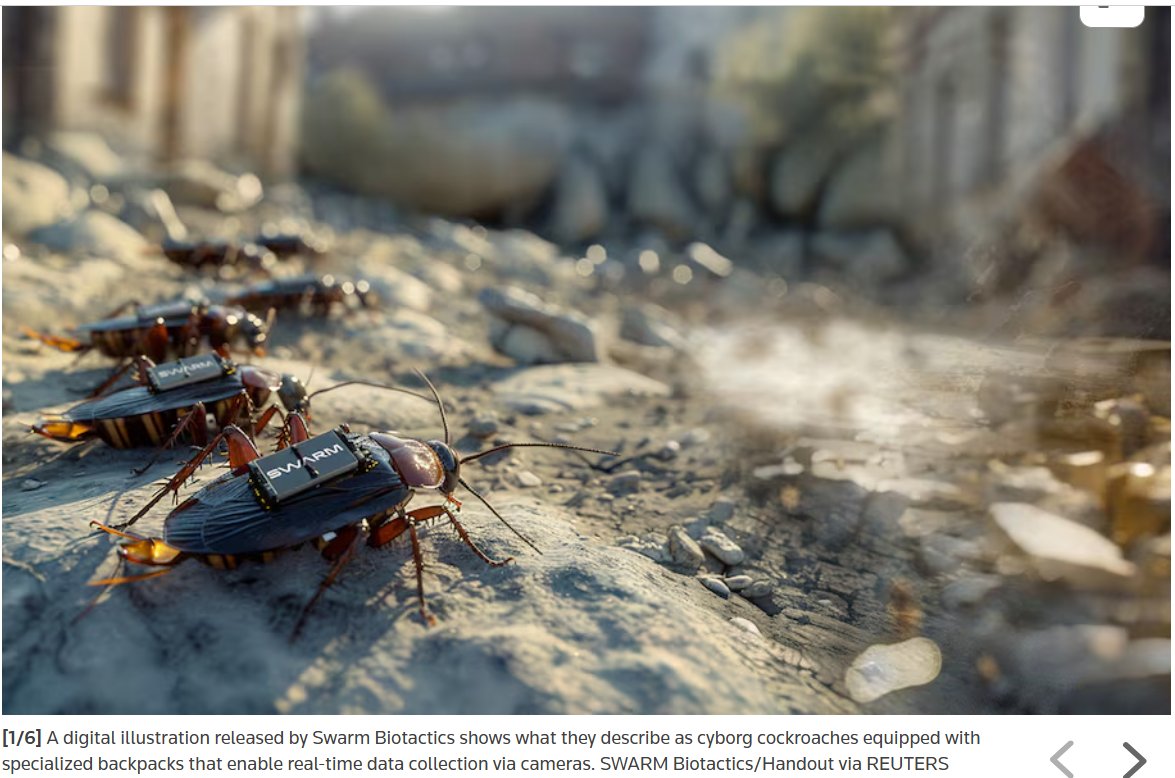 NalakaG's tweet image. Spy cockroaches? Some defence ideas Germany is developing sound like science fiction – e.g. cyborg cockroaches equipped w/ miniature backpacks enabling real-time spying via cameras. Electrical stimuli allow humans to control insects' movements remotely... reuters.com/business/aeros…