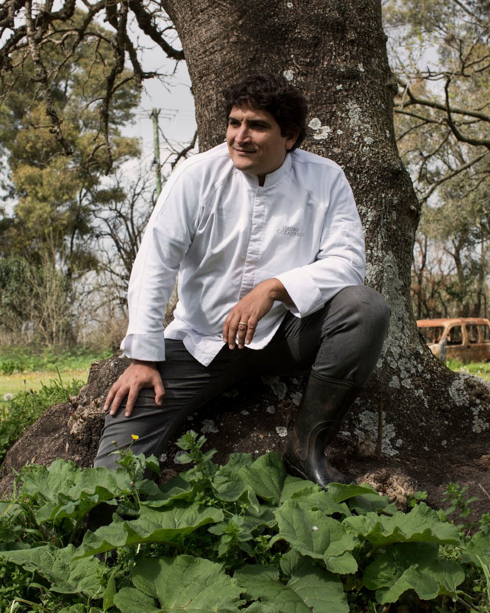 En CARNE todo lo que servimos empieza antes del plato. Empieza en la tierra. En un suelo vivo. En manos que conocen el ritmo de cada estación.

“Cada vez que comemos, tenemos el poder de proteger nuestro planeta para las futuras generaciones”, <a href="/maurocolagreco/">Mauro Colagreco</a>