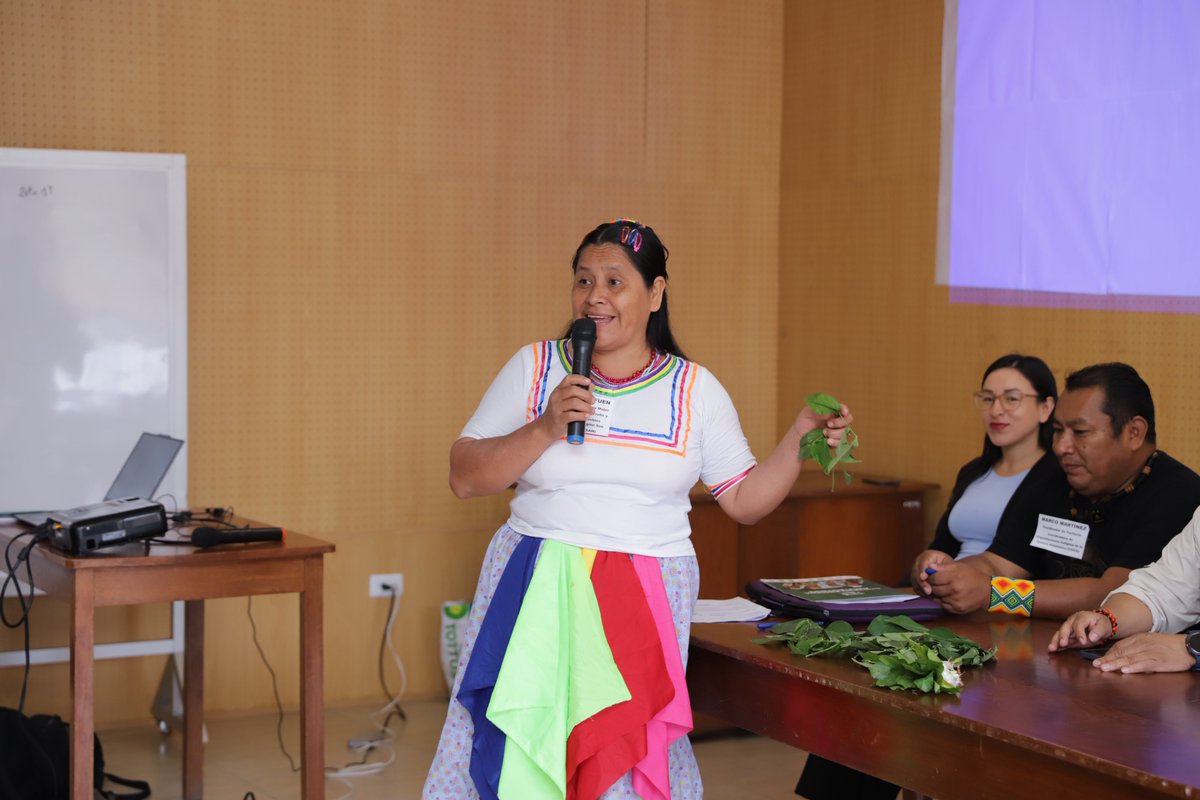 🔥 ¡Territorio, saber y acción! 🌱

Desde Moyobamba, Perú, nuestro coordinador Marco Martinez representó a COICA en el “Diálogo de Saberes sobre Incendios y Adaptación Climática Indígena”, organizado por <a href="/aidesep_org/">AIDESEP</a> reforzando el compromiso territorial frente a las sequías y el