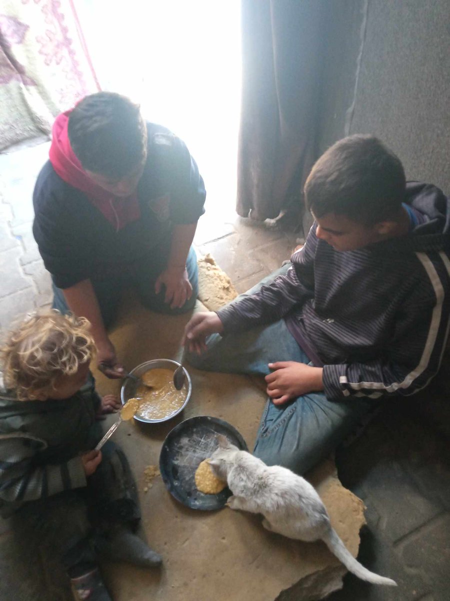 gazadream12's tweet image. I'm begging you 💔 We're starving 💔
I'm sad. My family is hungry and has nothing to eat. They're screaming with hunger.
Please share. I don't want to lose them. Please. 💔😭
Share and donate 💔💔
Donation link:🙏♥️👇 chuffed.org/project/137431…
Please 💔💔😭