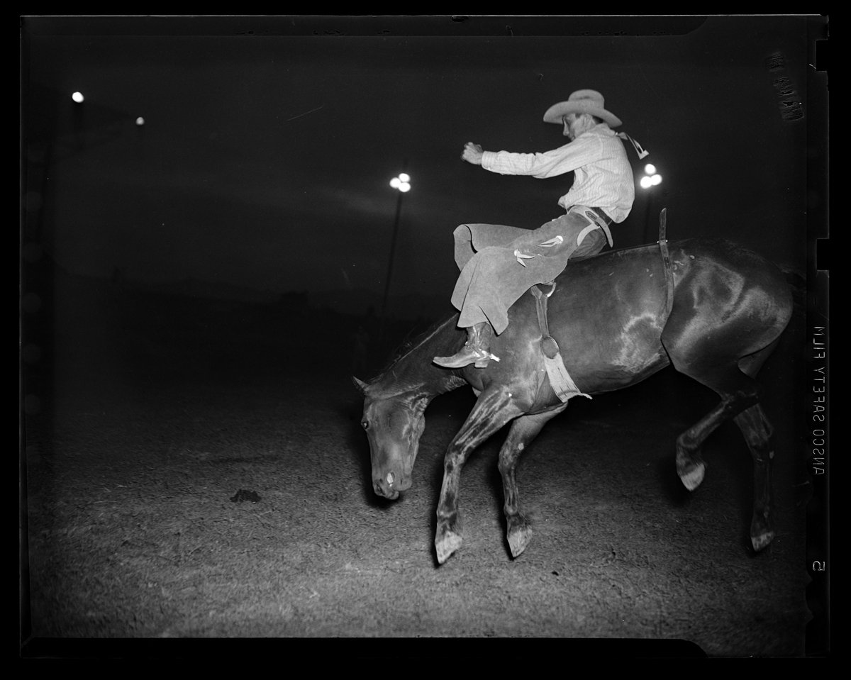 GovCox's tweet image. Pioneer Day is tomorrow, but the celebration is already underway.
From parades to rodeos, Utahns have long honored our founding by coming together. Catch the Days of '47 Rodeo through Saturday and celebrate the spirit that built this state.
