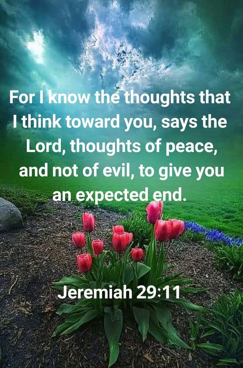 Stewart7Donna's tweet image. The thoughts the Lord thinks toward his children are thoughts of peace and not of evil, to give us an expected end.