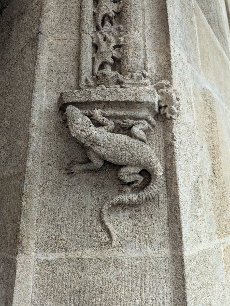 ChtSutAntiques's tweet image. Some of the wildlife of Bratislava...
