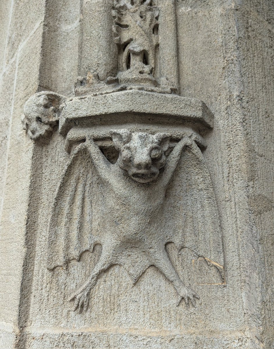 ChtSutAntiques's tweet image. Some of the wildlife of Bratislava...