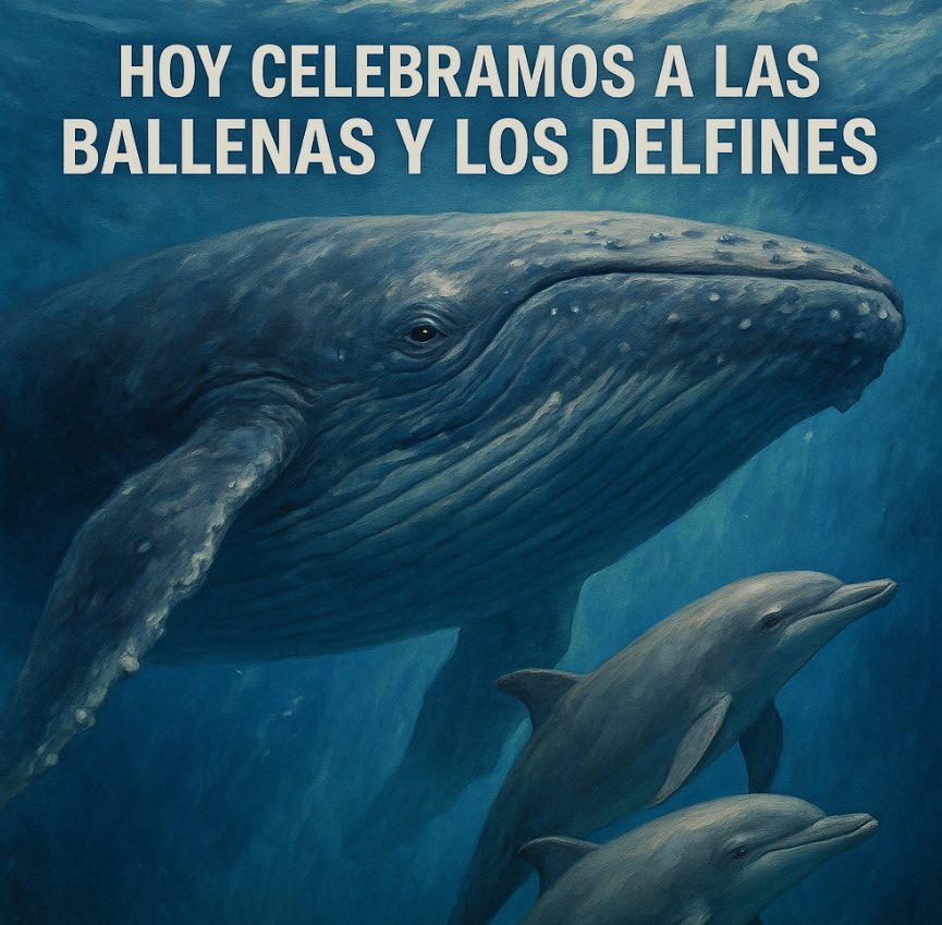 jorgegavino's tweet image. Hoy celebramos a las ballenas y los delfines, guardianes del océano y símbolos de inteligencia y libertad. Su canto resuena en las profundidades como un llamado a proteger los mares y preservar la vida marina.
🐳🐬 #DíaDeLasBallenasYLosDelfines