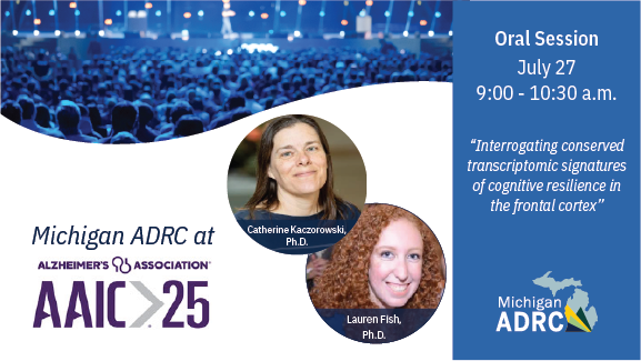 umichalzheimers's tweet image. Join Dr. Lauren Fish at #AAIC2025 this Sunday, July 27th, where she will present on "Interrogating Conserved Transcriptomic Signatures of Cognitive Resilience in the Frontal Cortex." The presentation will take place in Room 106 from 9:00 to 10:30 AM.
