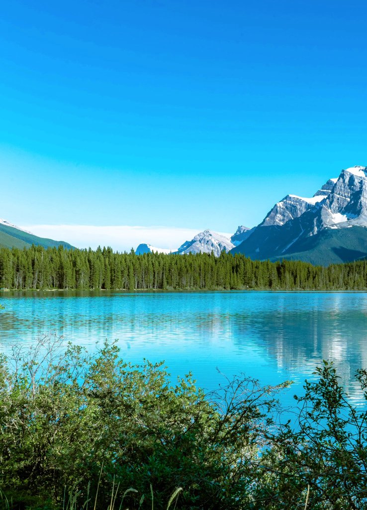 LoveSongs4Peace's tweet image. Beautiful blue Bow Lake in Banff National Park, Alberta, Canada ๐จ๐ฆ๐