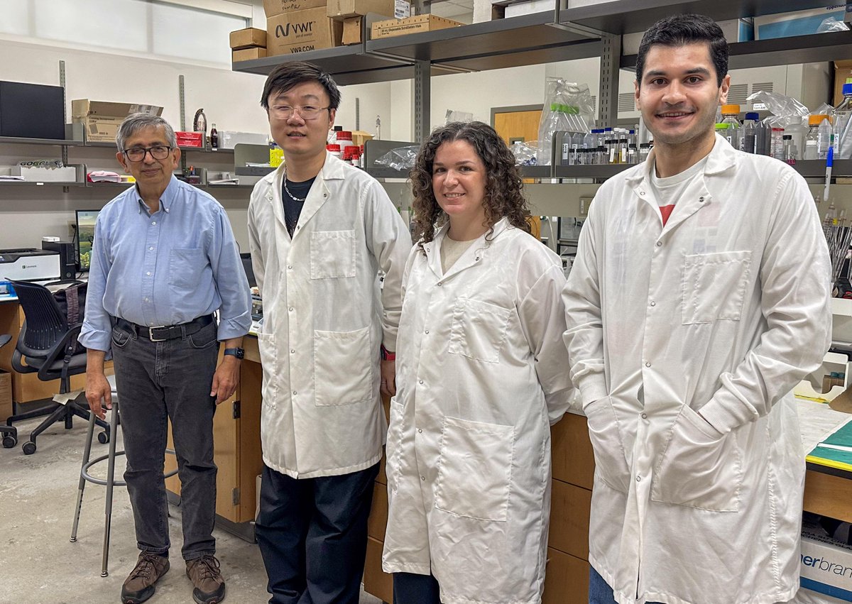 TulaneSSE's tweet image. Researcher Vijay John creates scalable, cost-effective treatment for algae blooms in municipal water systems!
Read more: ow.ly/JOqk50Wq3CE